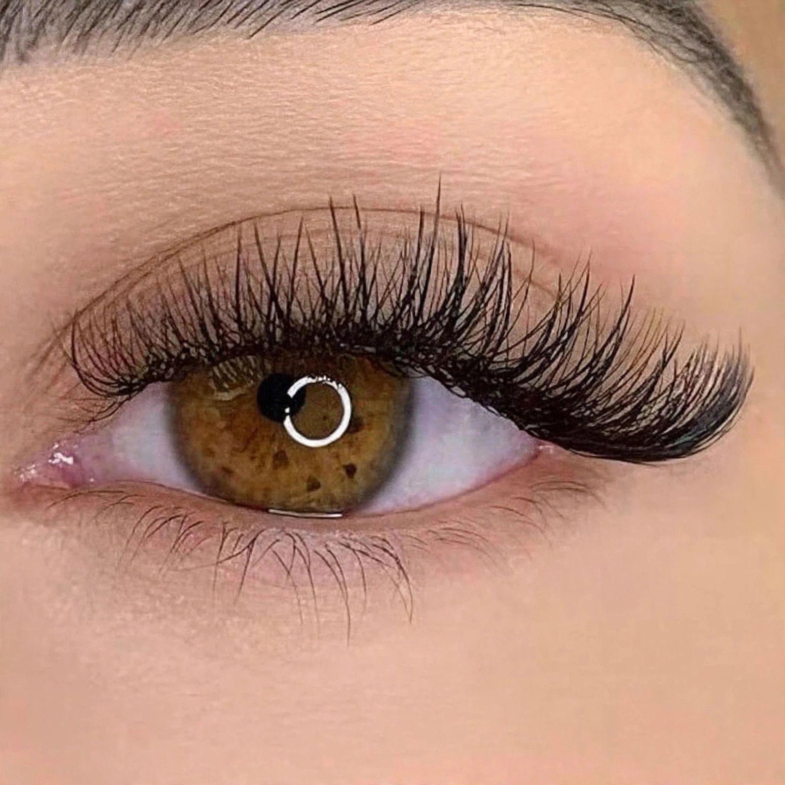 HYBRID LASH 3 WEEKS TOUCH UP