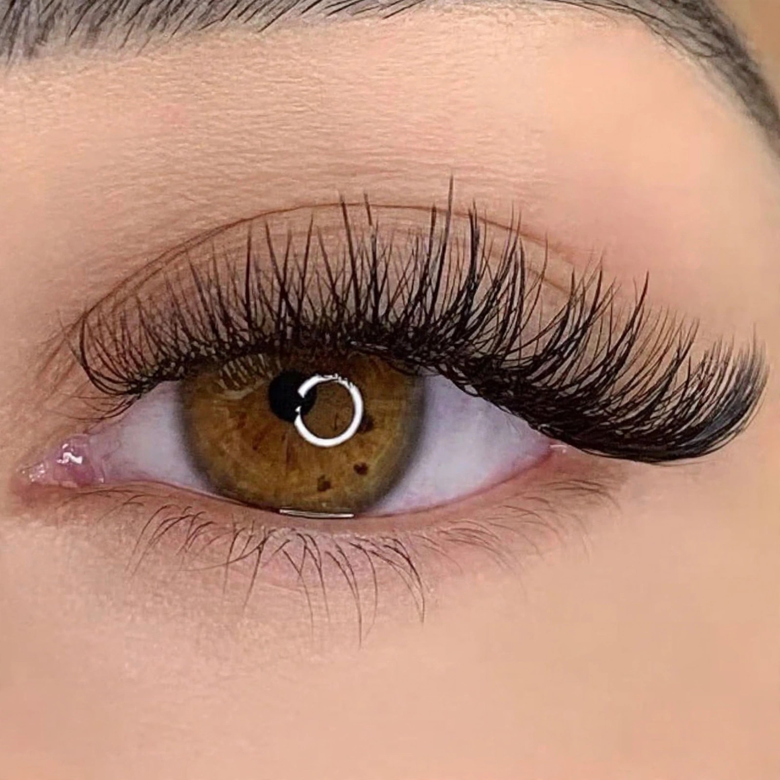 HYBRID LASH NEW SET