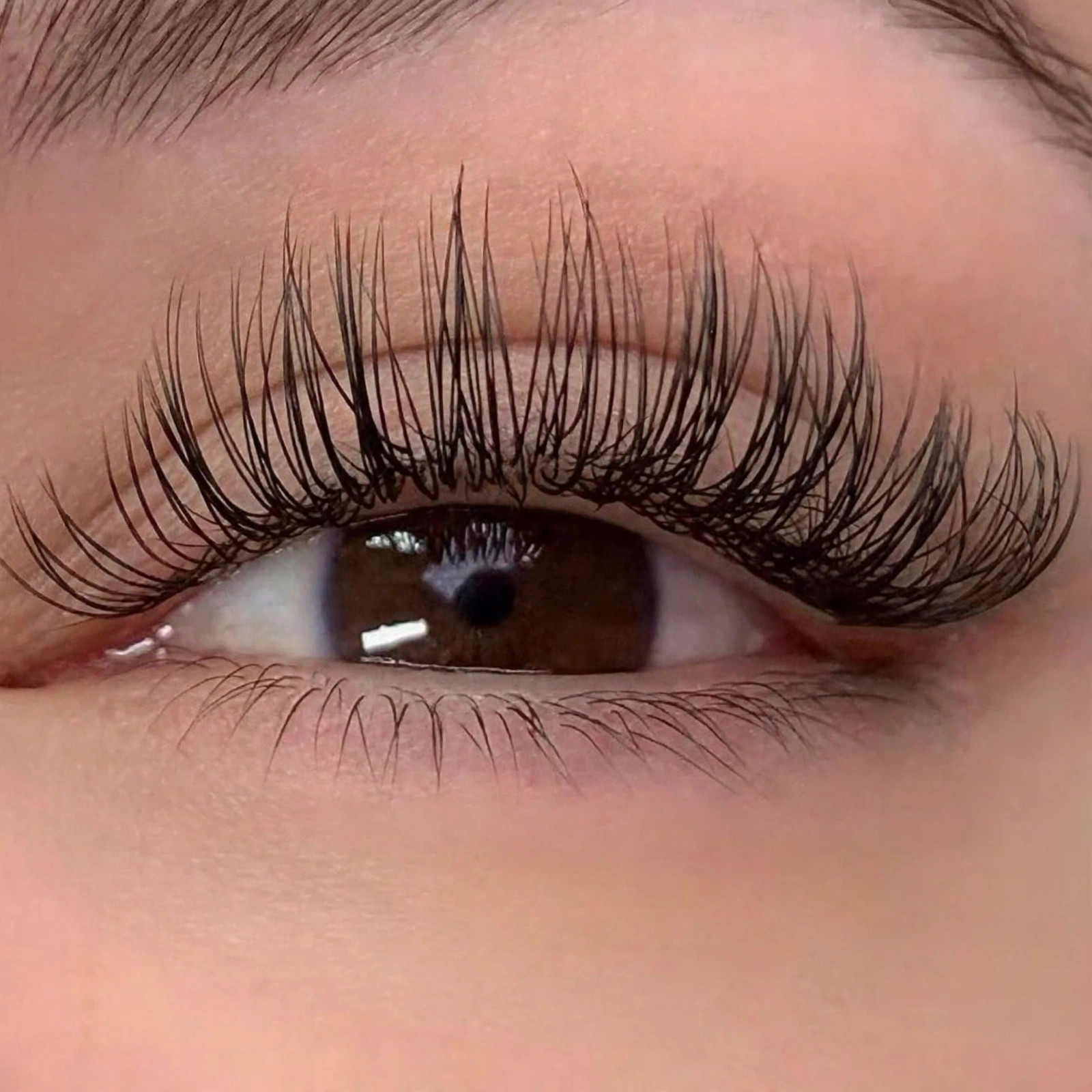 SINGLE CLASSIC MINK 2 WEEKS TOUCH UP